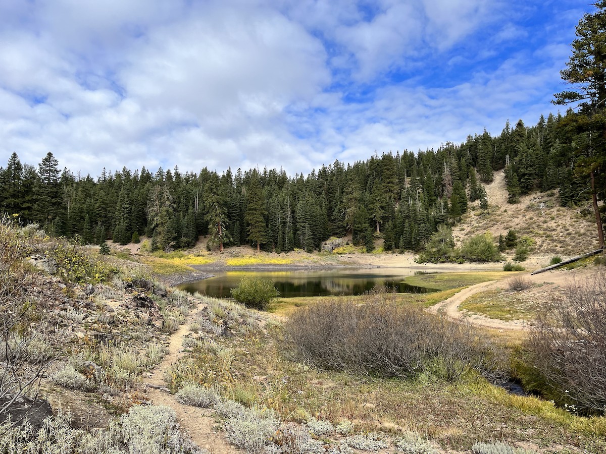 Cave Lake Campground - Modoc, California, US - Birding Hotspots