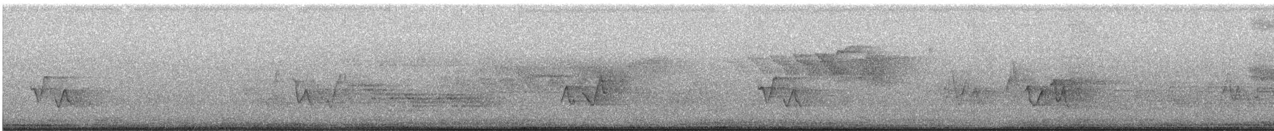 Vireo occhirossi - ML637947428