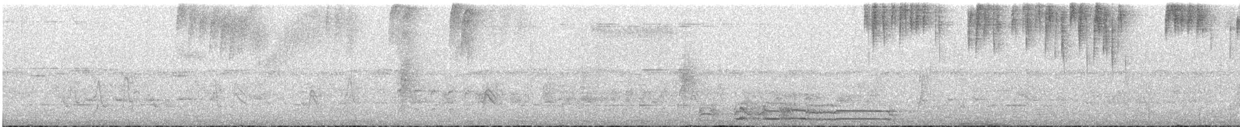 Hispaniolan Mango - ML637947519