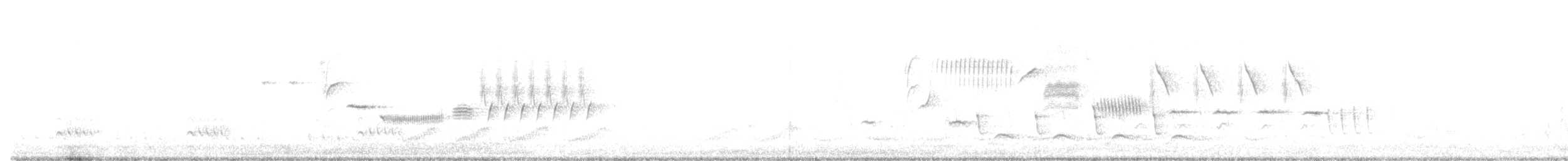 strnadec bělopásý - ML637947924