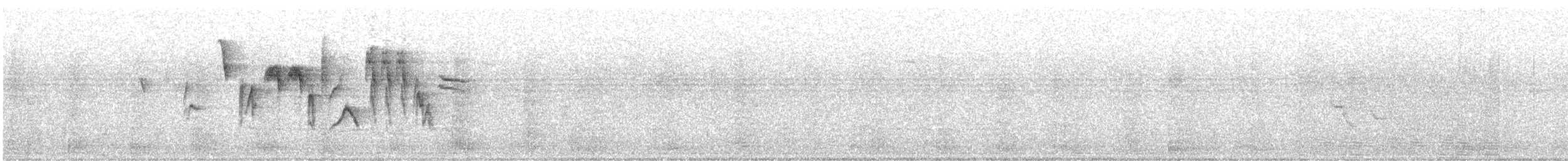 Цагаан хөмсөгт хөмрөг - ML637948006
