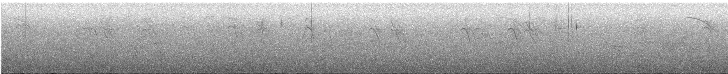 Fichtenzeisig - ML637948014