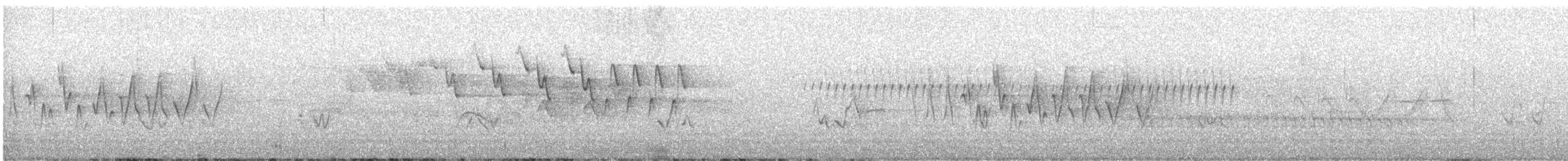 Chestnut-sided Warbler - ML637948995