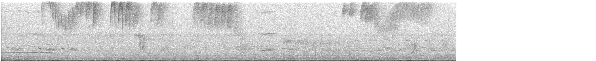 Hispaniolan Mango - ML637949211