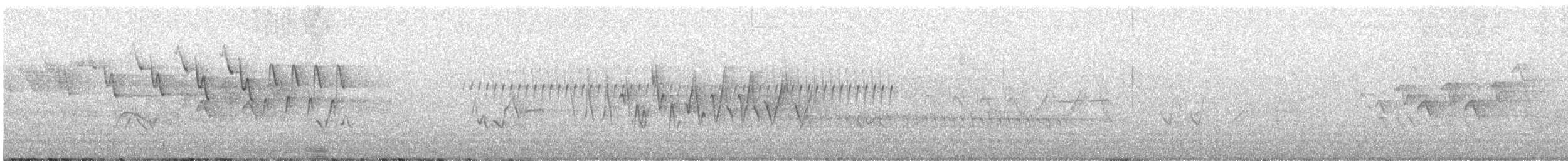 Chestnut-sided Warbler - ML637949298