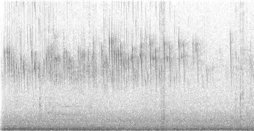 Chimney Swift - ML637949371