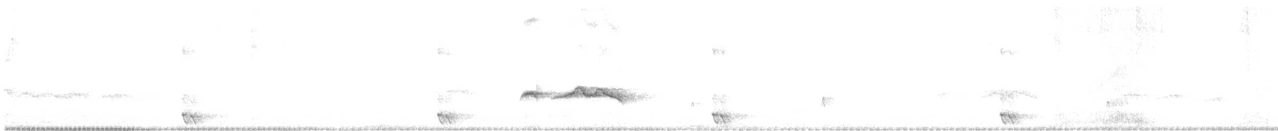Crested Gallito - ML637953216