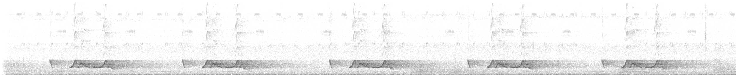 Chuck-will's-widow - ML637954672