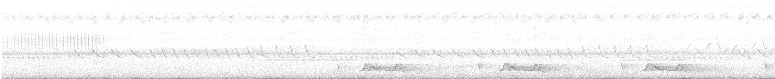 Chuck-will's-widow - ML637954848