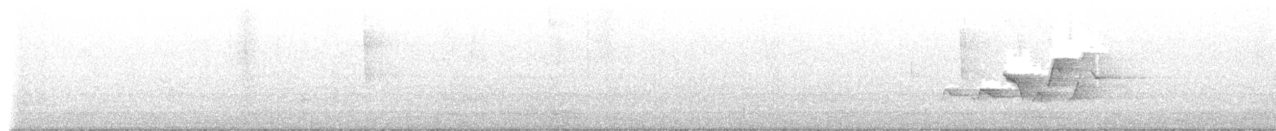 Hooded Warbler - ML637955963