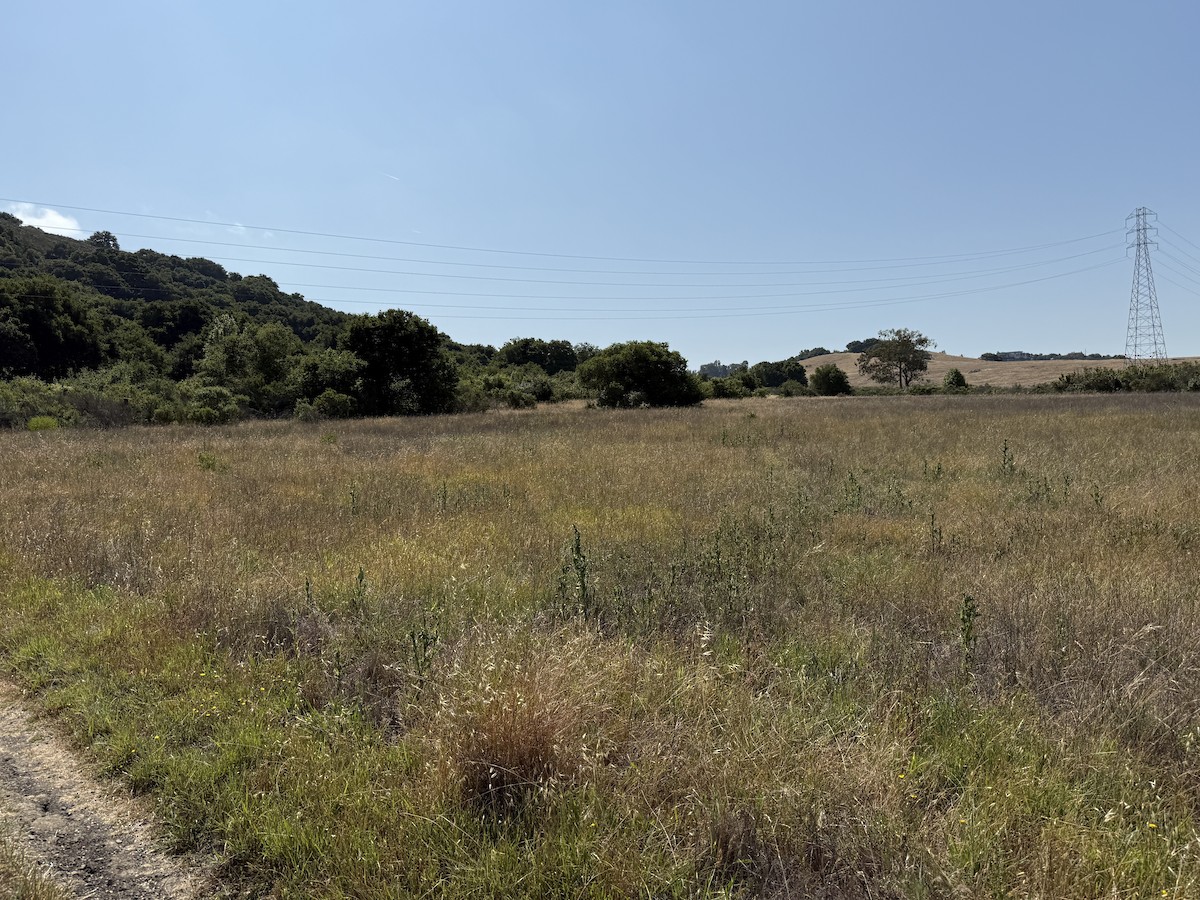 null - ML637956779