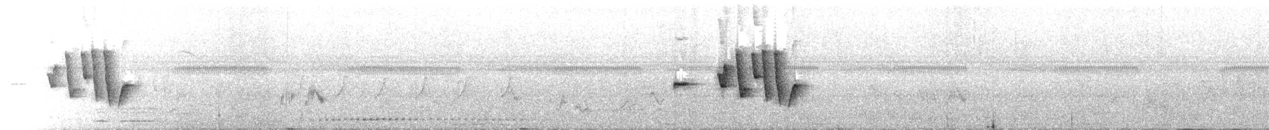 Pale-footed Bush Warbler - ML637957279