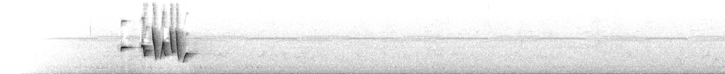 Pale-footed Bush Warbler - ML637957280