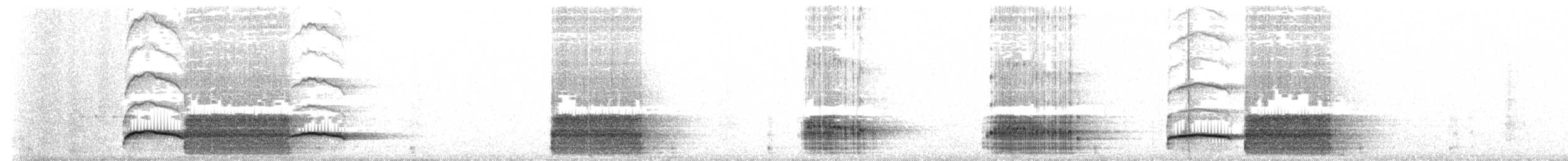 Acorn Woodpecker (Acorn) - ML637957550