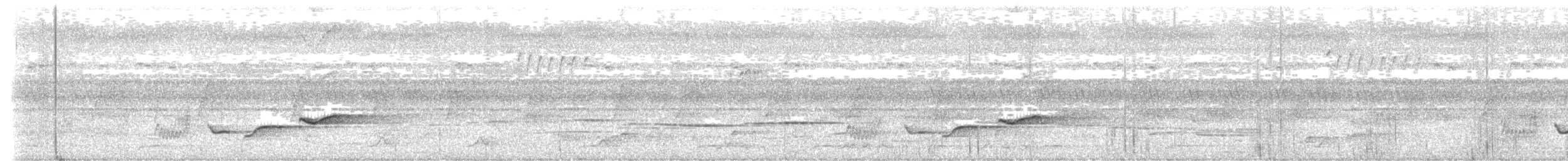White-chested Babbler - ML637959533