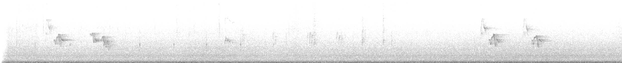 Lesser Greenlet - ML637959734
