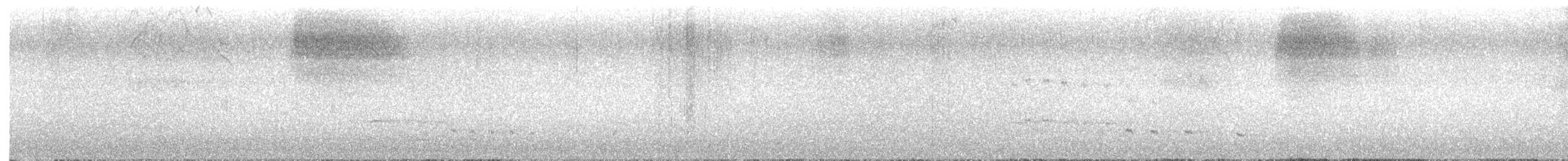 ハクトウワシ - ML637960562