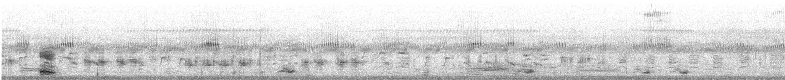 אנפה משורטטת - ML637961066