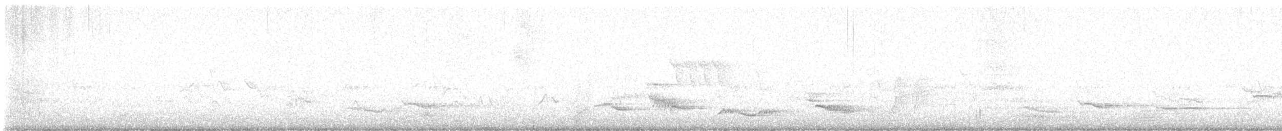 Turdus sp. - ML637963969