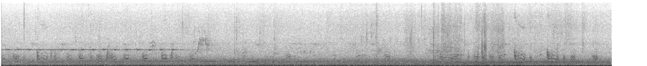 Gray-crowned Babbler - ML637964513