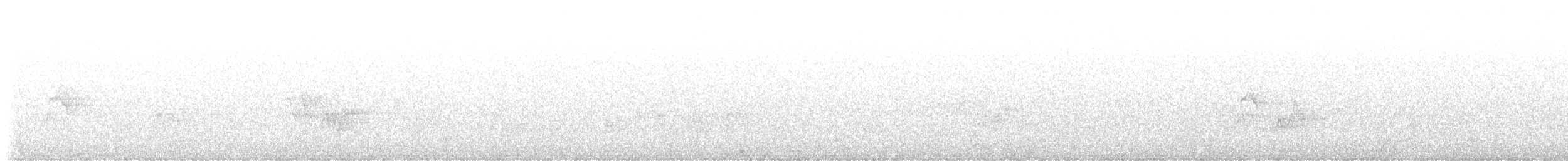 Red-eyed Vireo - ML637965279