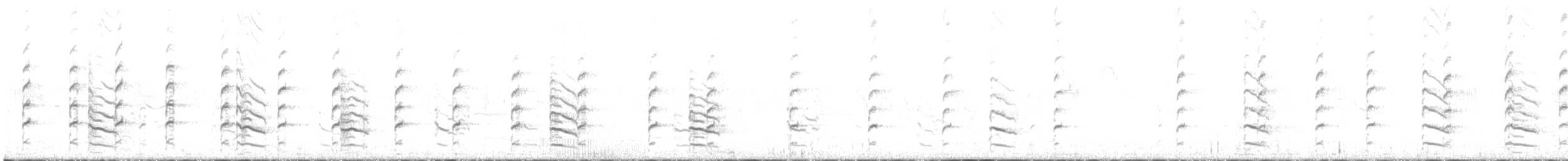 Black-winged Stilt - ML637966170