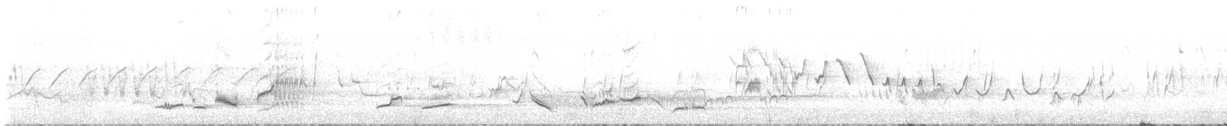 kos černý - ML637966629