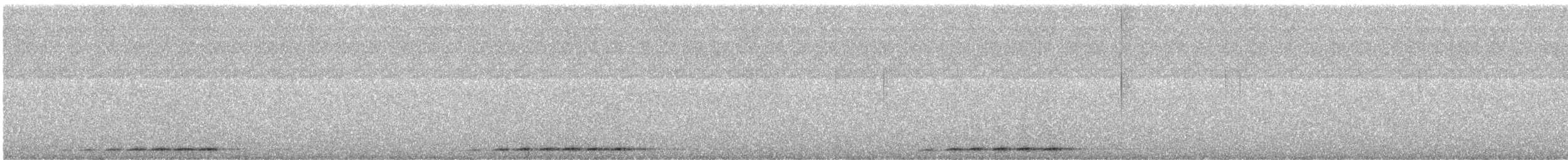 Boreal Owl (Tengmalm's) - ML637967132