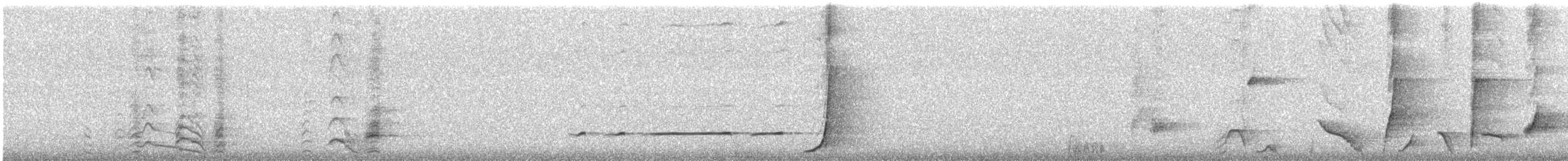 lyrochvost nádherný - ML637967848