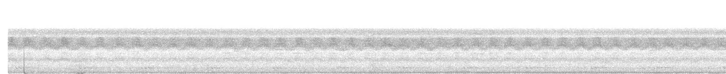 Phasianelle onchall - ML637968494