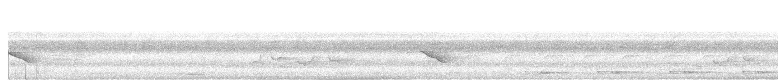 Buff-breasted Babbler - ML637968580