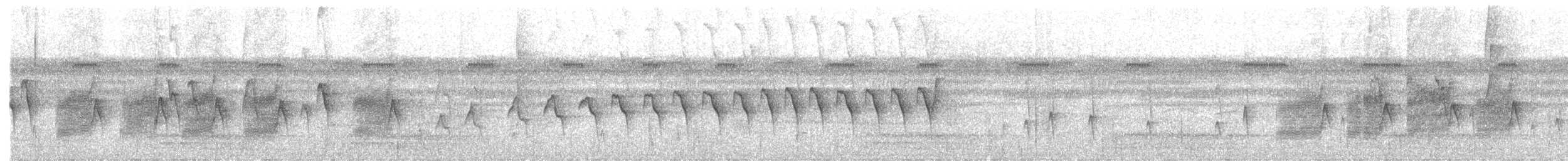 Dot-winged Antwren - ML637969221