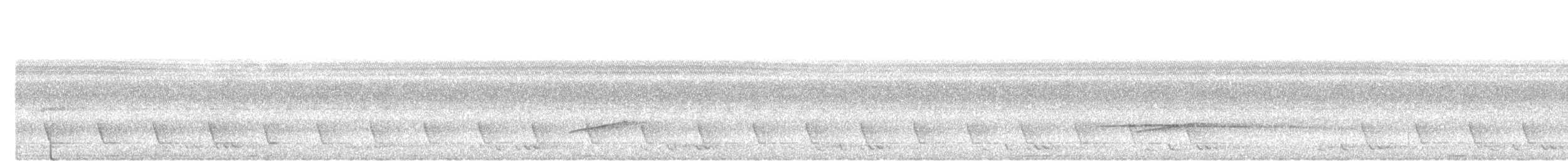 Marbled Wren-Babbler - ML637970582
