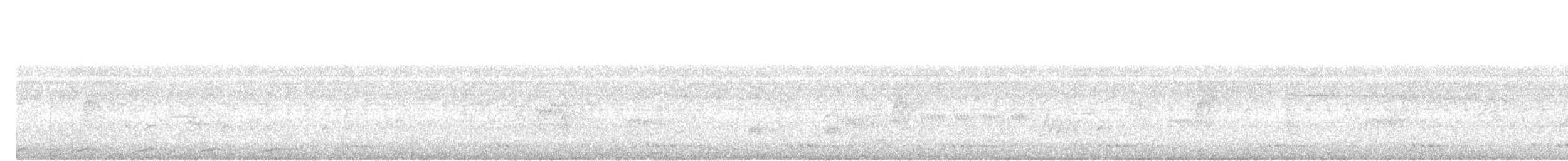 Little Cuckoo-Dove - ML637970896