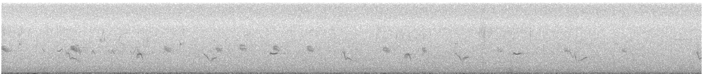 Gray Vireo - ML637971847