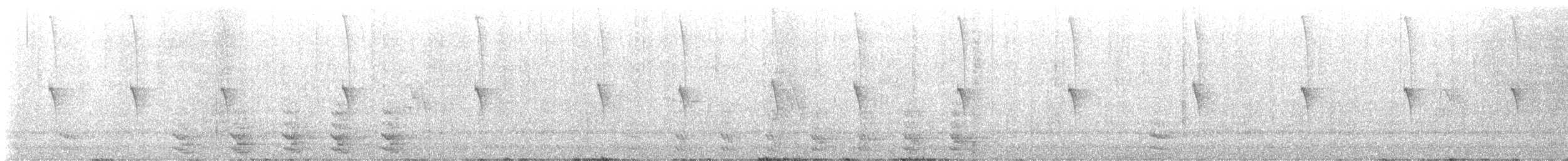 Rivoli's Hummingbird - ML637972462