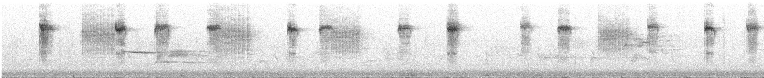 Волоочко кордильєрське - ML637974400