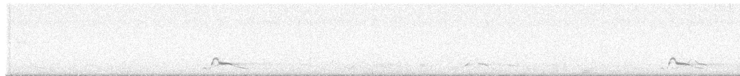 Common Pauraque - ML637975610