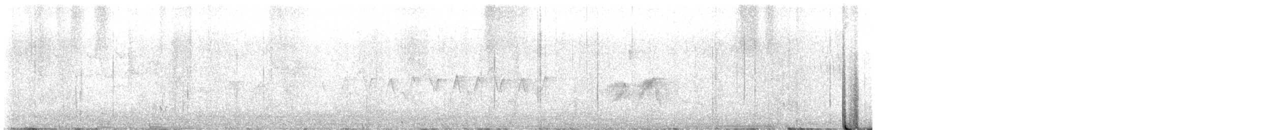 Alder Flycatcher - ML637981872
