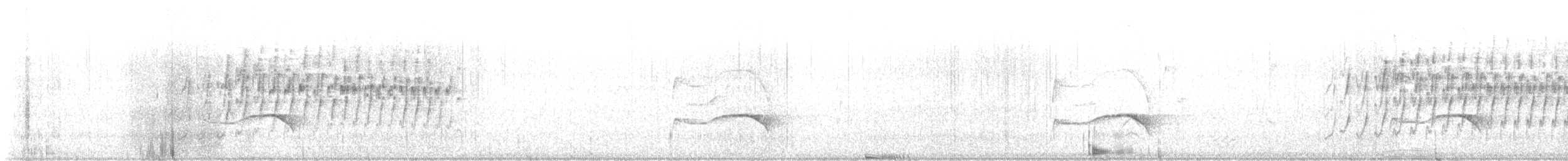 Stripe-backed Antbird - ML637982282