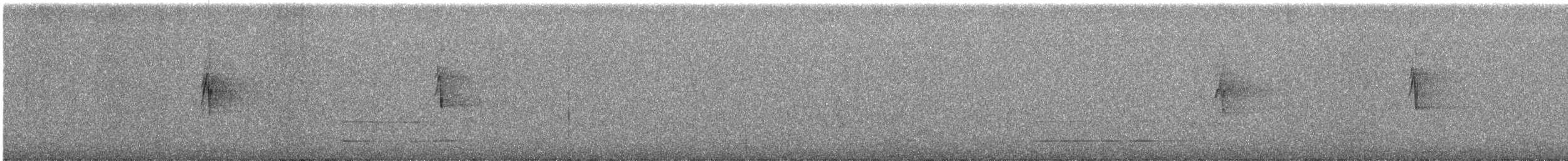 Yellow-plumed Honeyeater - ML637982513