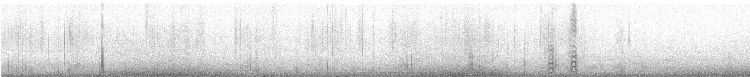 Royal Tern - ML637983149