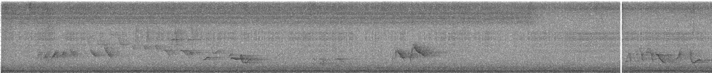 チャイロツグミモドキ - ML637983389
