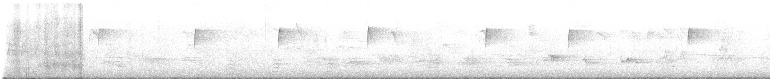 vannparula - ML637986693