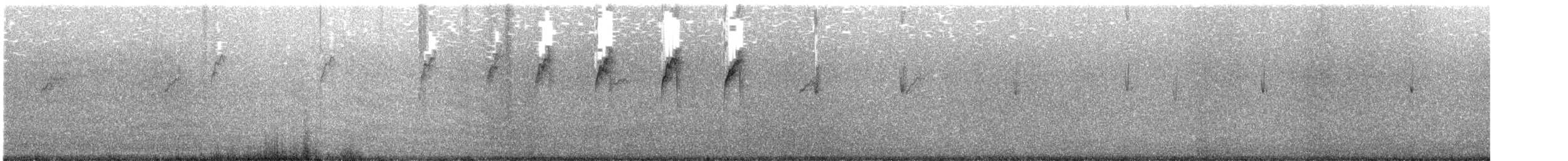 Spioncello marino - ML637986753