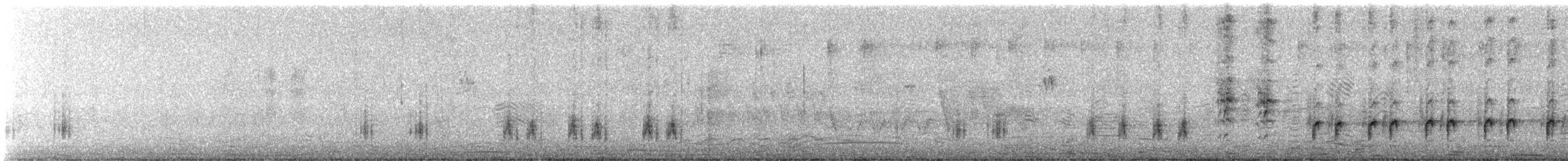 Great Reed Warbler - ML637989075