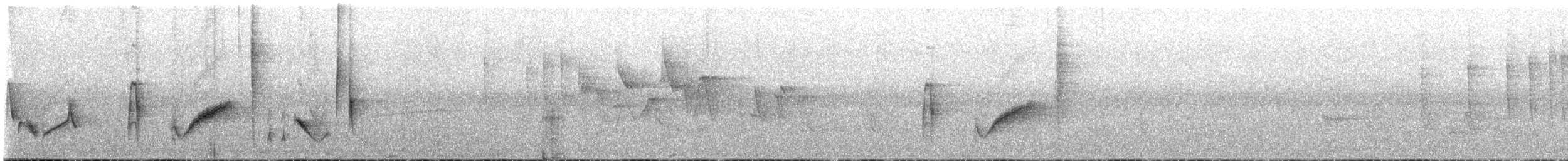 White-eyed Vireo - ML637992581