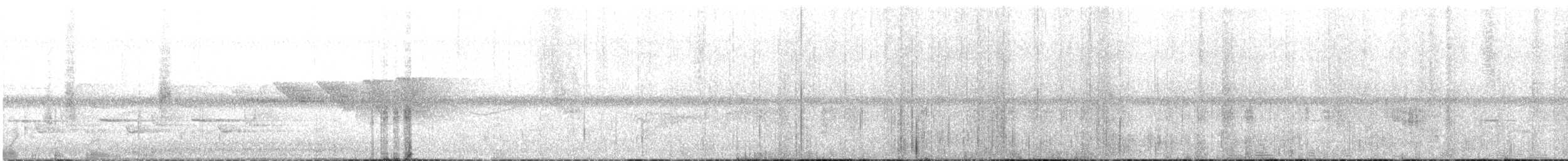 Swainson's Warbler - ML637992656