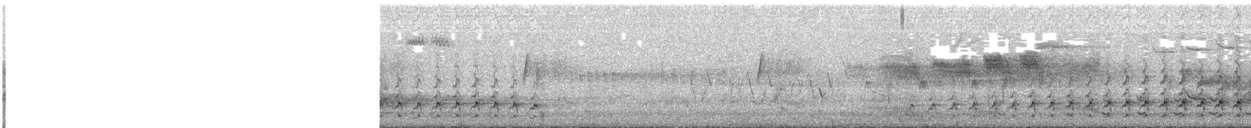 Northern Flicker (Red-shafted) - ML637993857