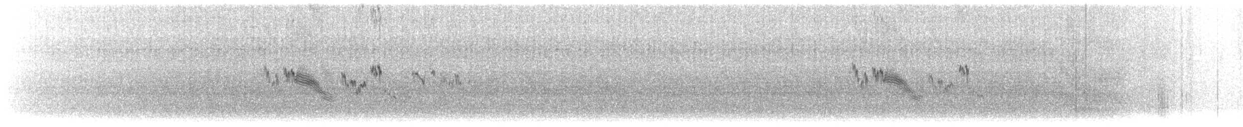 Paramo Pipit (bogotensis Group) - ML637994749